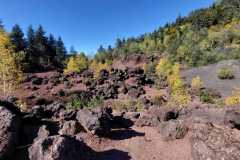 80AIMG-20251012-WA0036