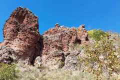 50aIMG-20251016-WA0018