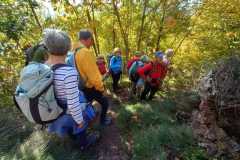 55aIMG-20251016-WA0024