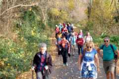 IMG-20251114-WA0001