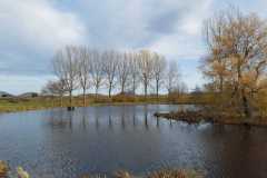 IMG-20251114-WA0007