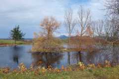 IMG-20251114-WA0008