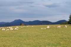 IMG-20251114-WA0010
