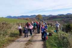 IMG-20251114-WA0011
