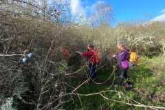 IMG-20251116-WA0004