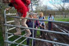 IMG-20251116-WA0005