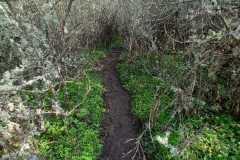 IMG-20251116-WA0007