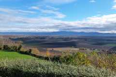IMG-20251116-WA0025