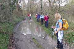 IMG-20251116-WA0030