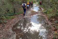 IMG-20251116-WA0033
