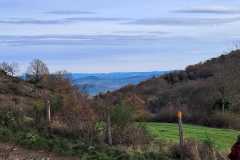 IMG-20251123-WA0000