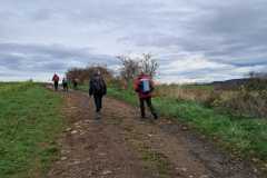 IMG-20251123-WA0001