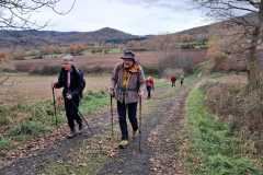 IMG-20251123-WA0003