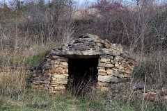 IMG-20251123-WA0014