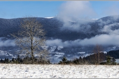 17_2026_01_10_N_An_Bertignat_20