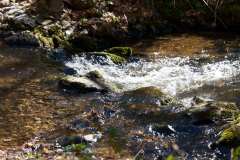 BQT03941-034-n
