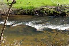 BQT03952-045-n