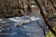 BQT03965-058-n