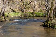 BQT03968-061-n