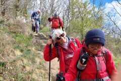 IMG-20260329-WA0004