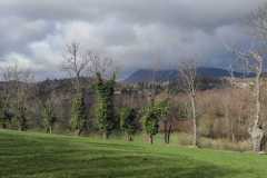 IMG-20260329-WA0012