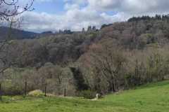 IMG-20260329-WA0014