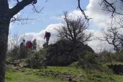 IMG-20260329-WA0015
