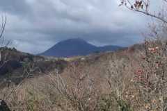 IMG-20260329-WA0016