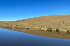 090-IMG-20261015-WA0002