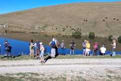 120-IMG-20261015-WA0020