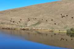 130-IMG-20261015-WA0045