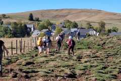 235-IMG-20261015-WA0037