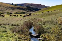 270-BQT09363-010_riviere_vach_v1-n