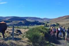 330-IMG-20261015-WA0019