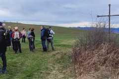 IMG-20240218-WA0006