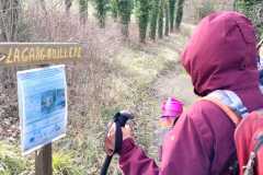 IMG-20240218-WA0011