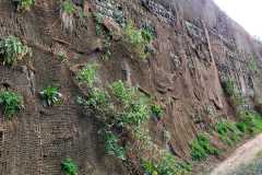 IMG-20240218-WA0014