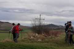 IMG-20240218-WA0018