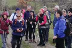IMG-20240218-WA0021