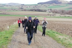 IMG_20240219_084544