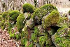 IMG-20250119-WA0015