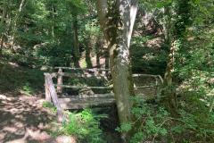 15-IMG-20260923-WA0001