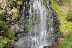 55-IMG-20260924-WA0001