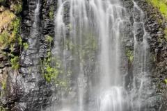 57-IMG-20260924-WA0013