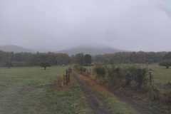 IMG-20261008-WA0002