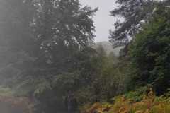 IMG-20261008-WA0003
