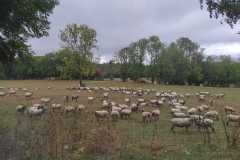IMG-20261008-WA0008