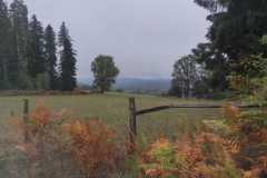 IMG-20261008-WA0010