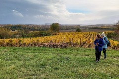 11-3-Clochers_Gimeaux_vignes_Madeleine_Nadine_cueillette_S152204_2023-11-12