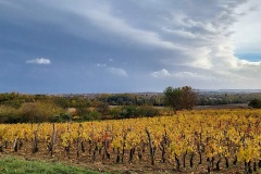 12-3-Clochers_Gimeaux_vignes_couleur_contraste_automne_S152242_2023-11-12